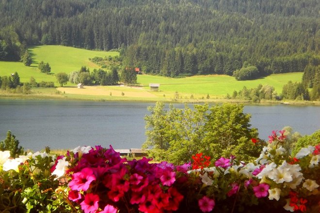Haus Birke - Sommer Bild