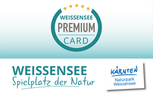Haus Birke - Ferienwohnungen am Weissensee mit hauseigenem Badestrand